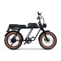 엑스트랙 몬스터 48V 15A
