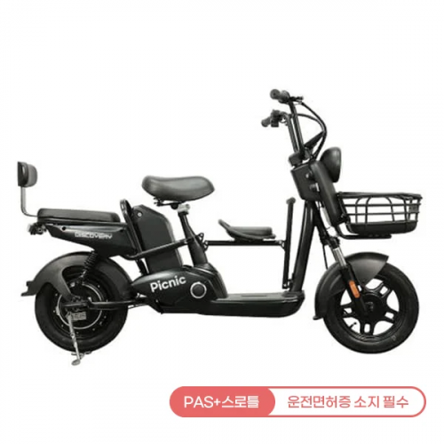 [레이윙] 디스커버리 피크닉 S30 전기 전동스쿠터 10A