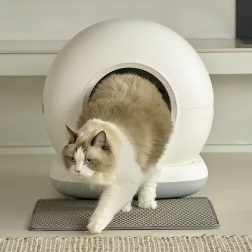 [페페] 고양이 IoT 스마트 자동 화장실