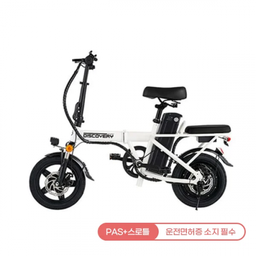 [레이윙] 디스커버리 F14E 전기자전거 10A