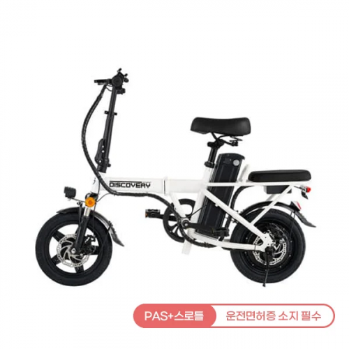[레이윙] 디스커버리 F14E 전기자전거 18A