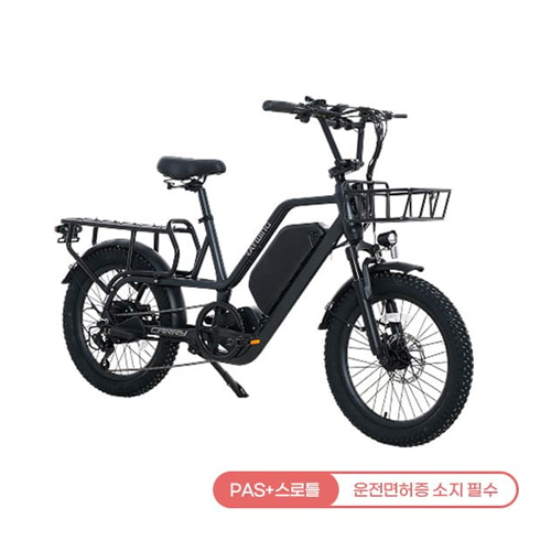 [레이윙] 캐리 전기자전거 CARRY_25A