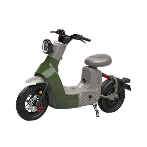 [레이윙] 타입2 전동스쿠터 TYPE 2 24A
